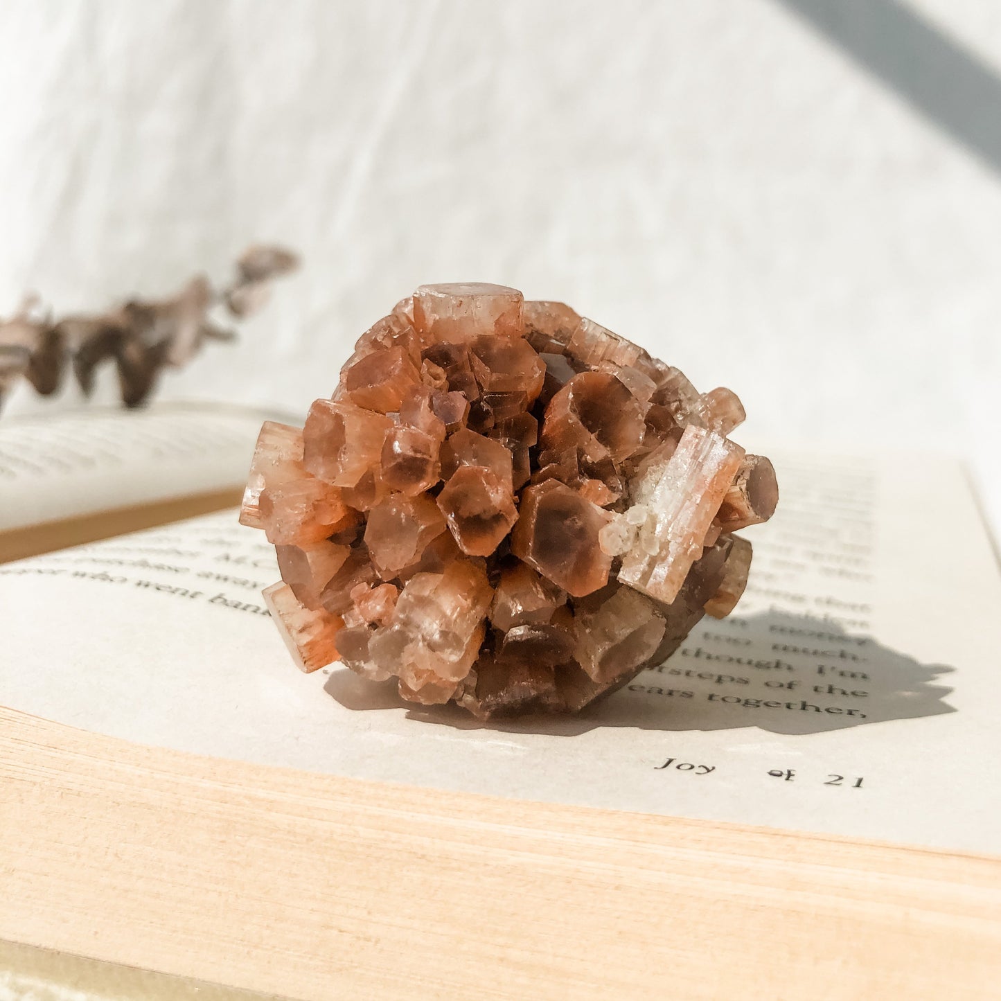 Aragonite