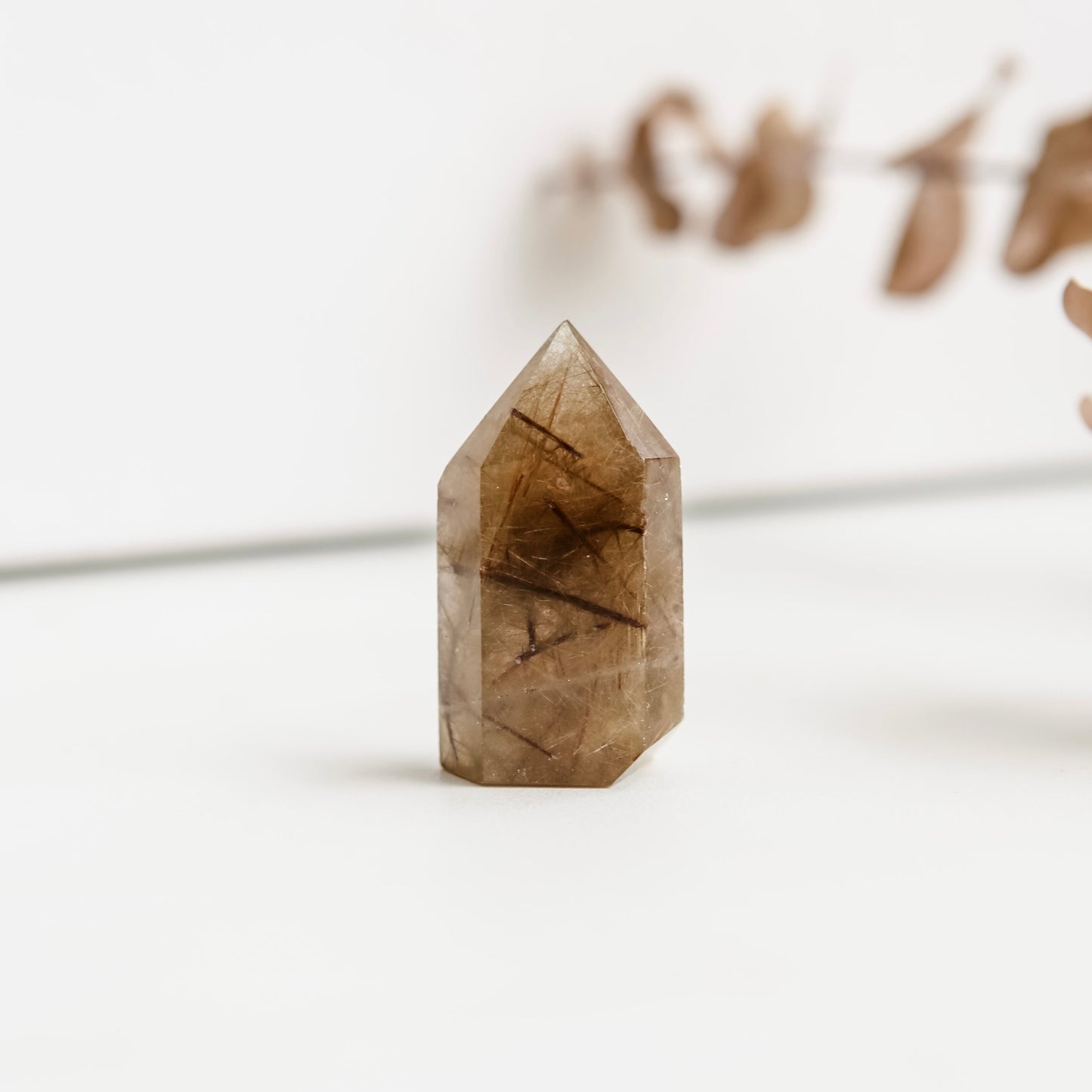 Gold Rutilated Quartz Mini Point